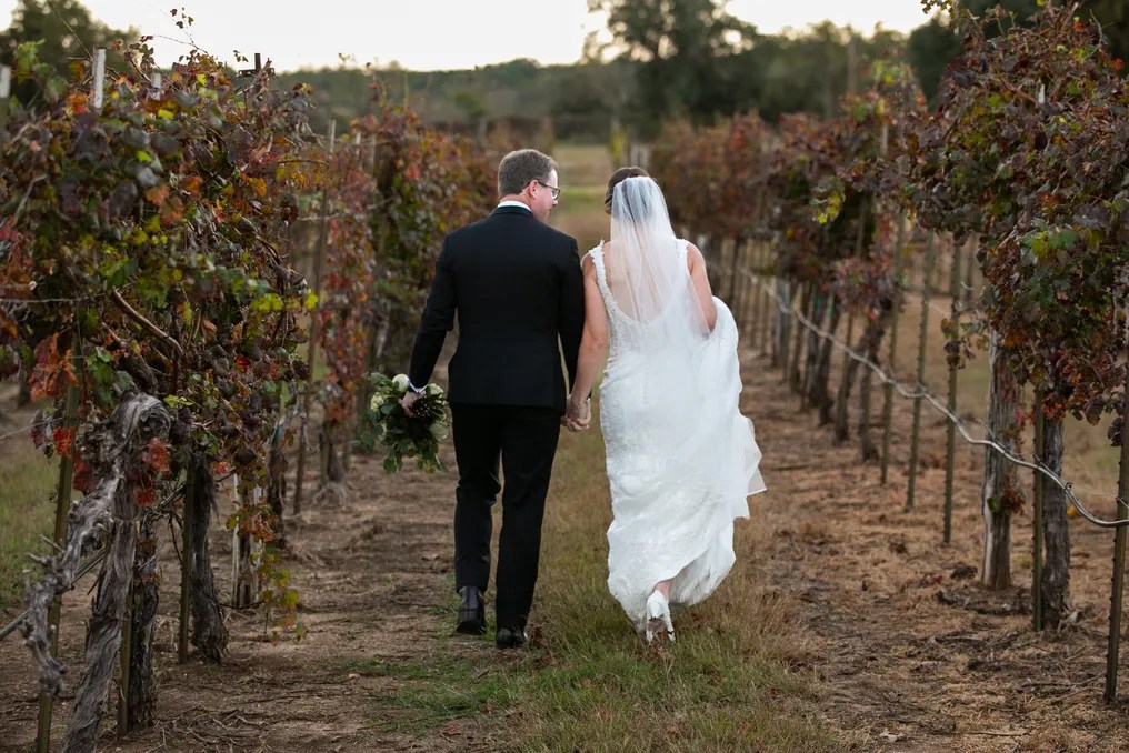 Spicewood Vineyards #27