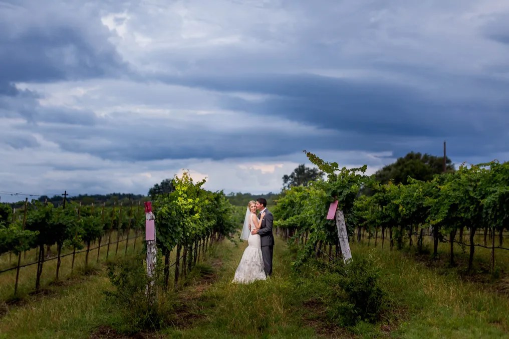 Spicewood Vineyards #50