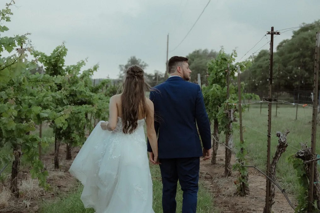 Spicewood Vineyards #51