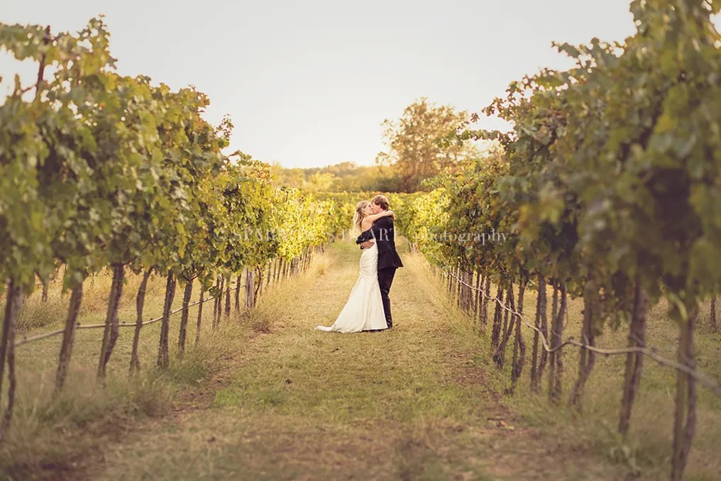 Spicewood Vineyards #79