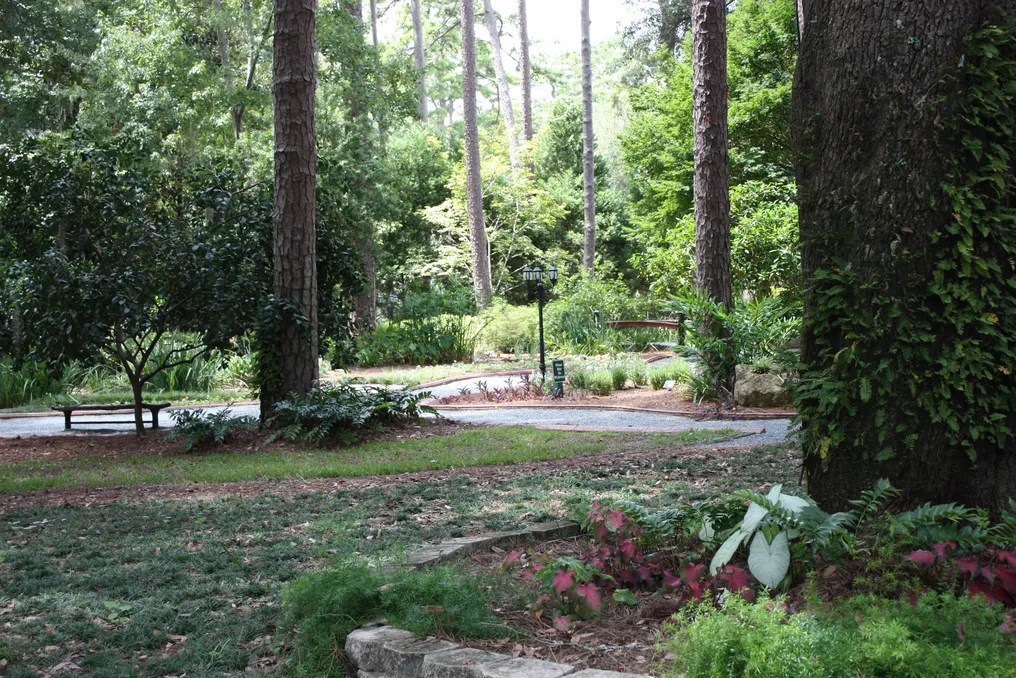 Dorothy B Oven Park #6