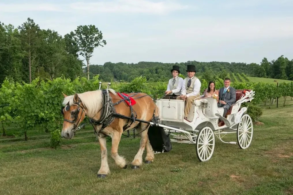 Autumn Creek Vineyards #8