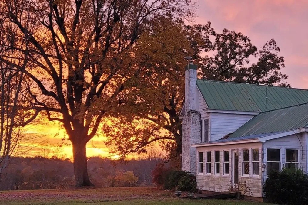 Autumn Creek Vineyards #33