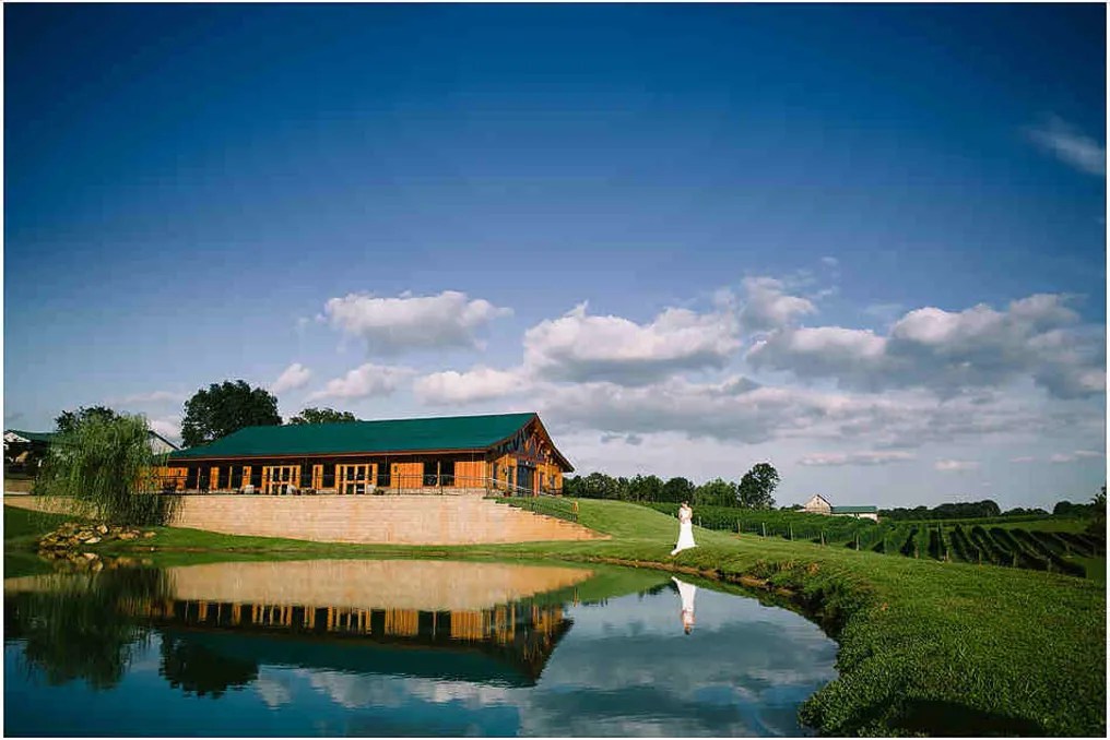 Autumn Creek Vineyards #52