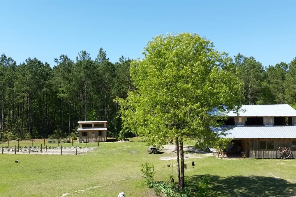 The Farm at West Prong Acres #6