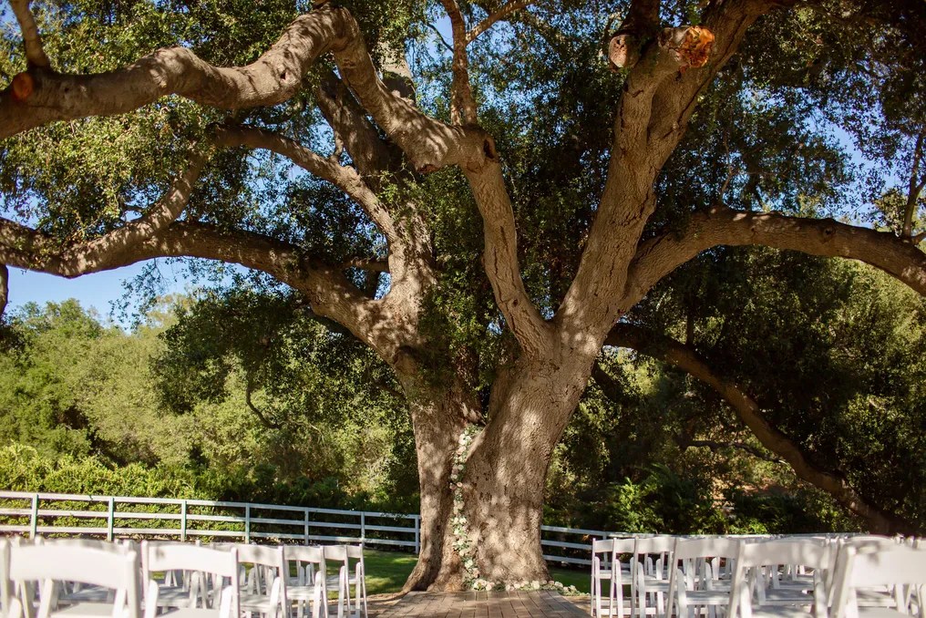 Circle Oak Ranch #15