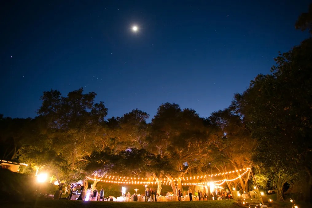 Circle Oak Ranch #40