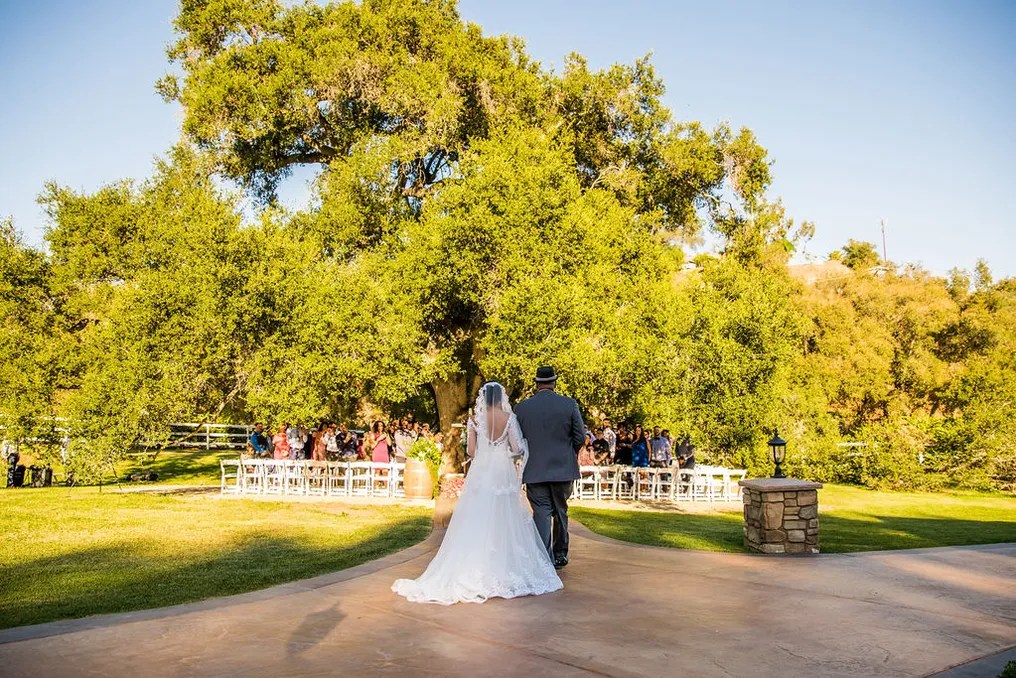Circle Oak Ranch #43