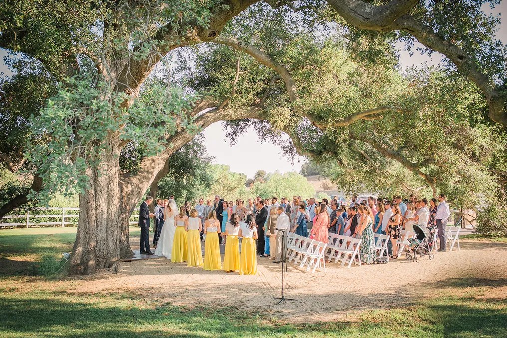 Circle Oak Ranch #52
