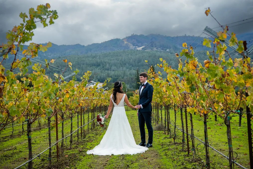 V. Sattui Winery #14