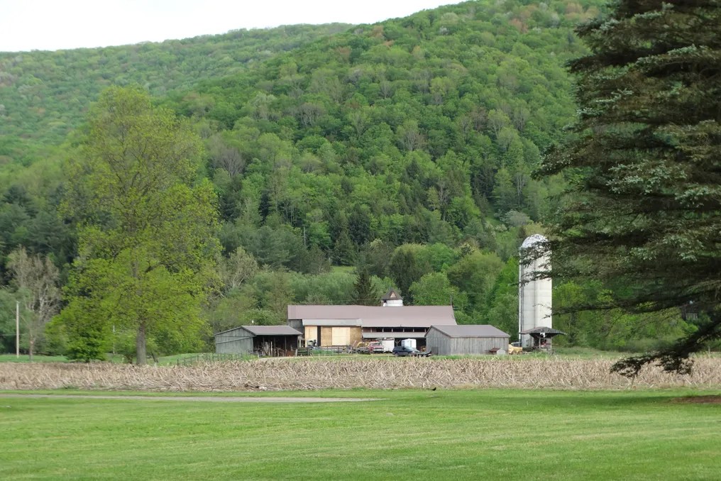 Pine Creek Farm #17