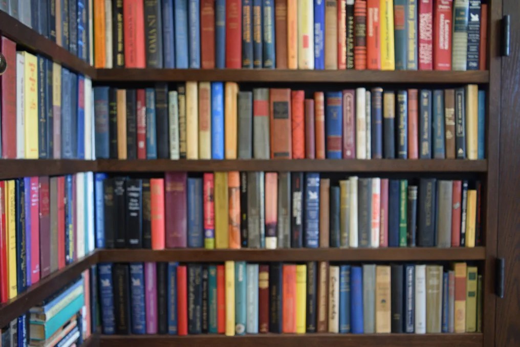 Carnegie Library Special Events #12