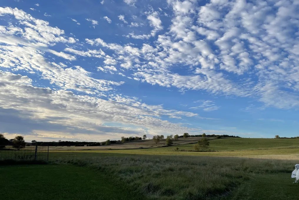 Hayvn at Hay River #26