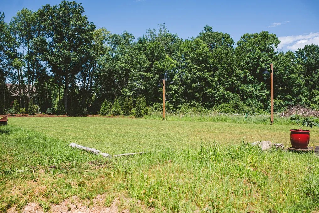 Saltonstall Farm #12