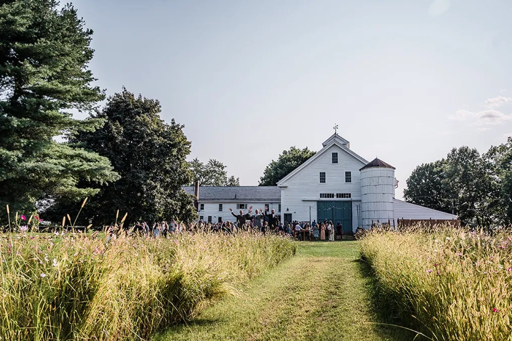 Saltonstall Farm #16