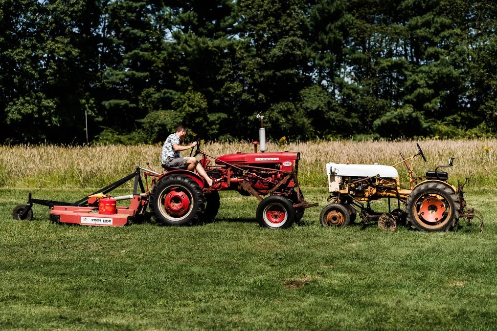 Saltonstall Farm #19