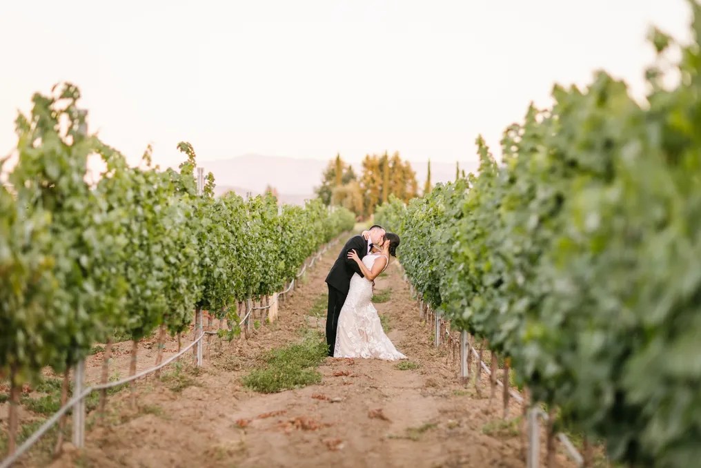 Ponte Winery & Vineyard Inn #18