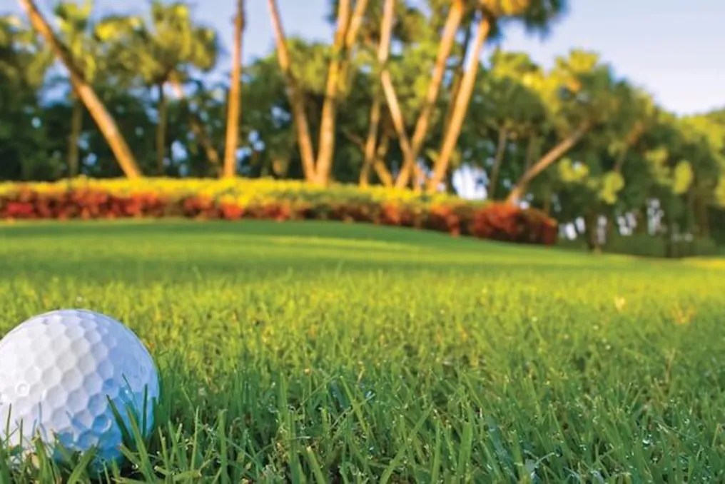 Cypress Woods Golf & Country Club #5