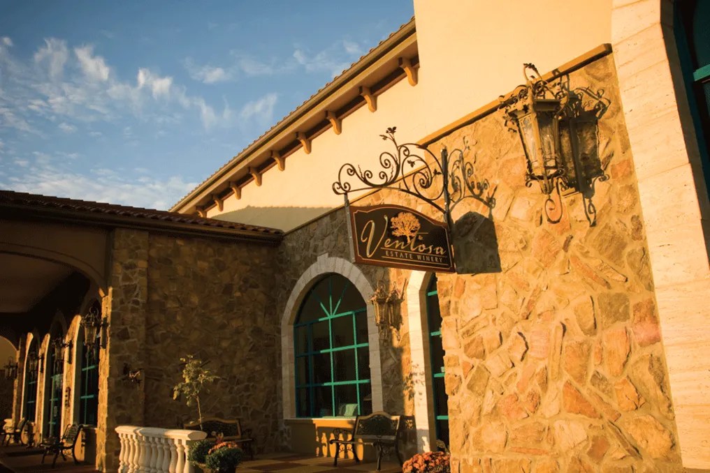 Ventosa Vineyards #5