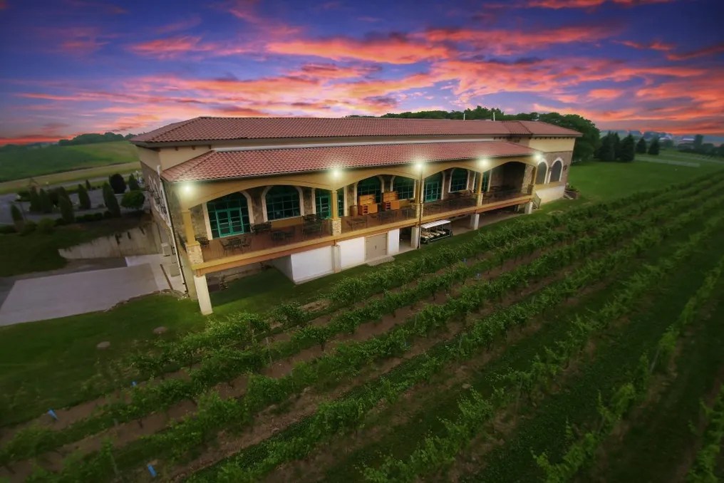 Ventosa Vineyards #8
