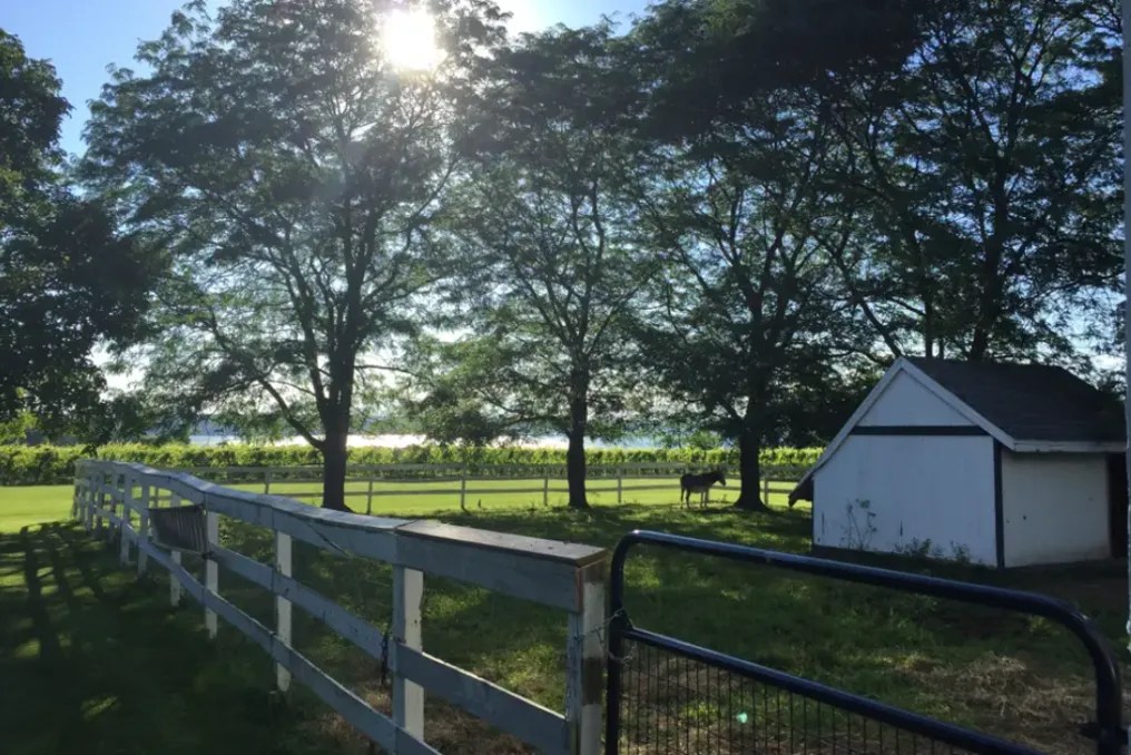 Ventosa Vineyards #11