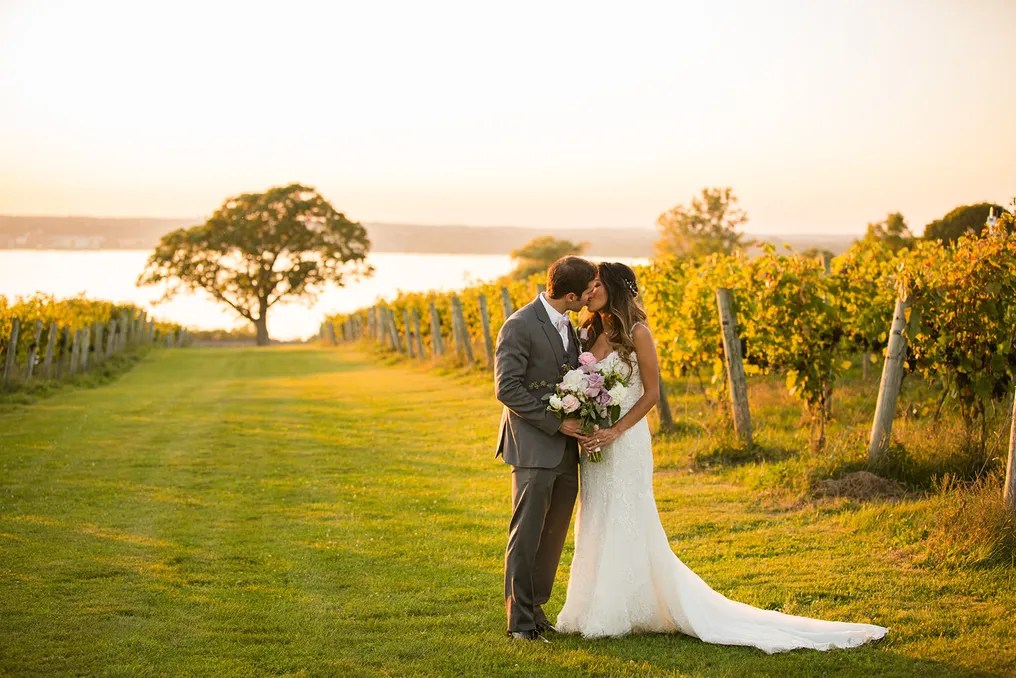 Ventosa Vineyards #14