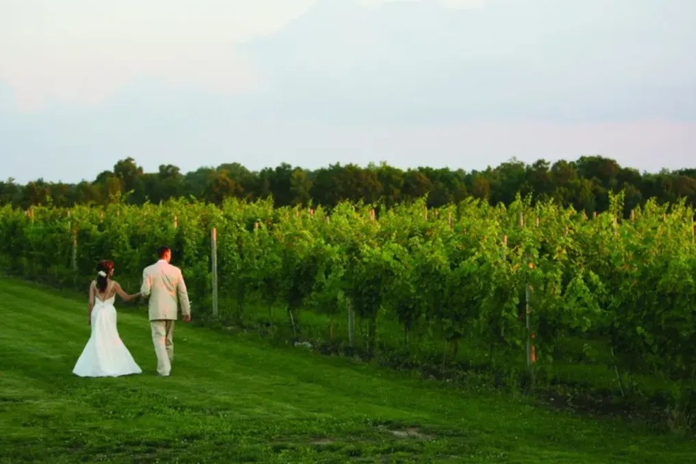Ventosa Vineyards #18