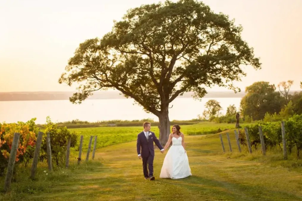 Ventosa Vineyards #24