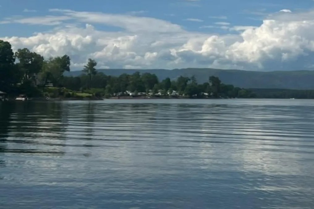 Rose Haven at Lake James #12