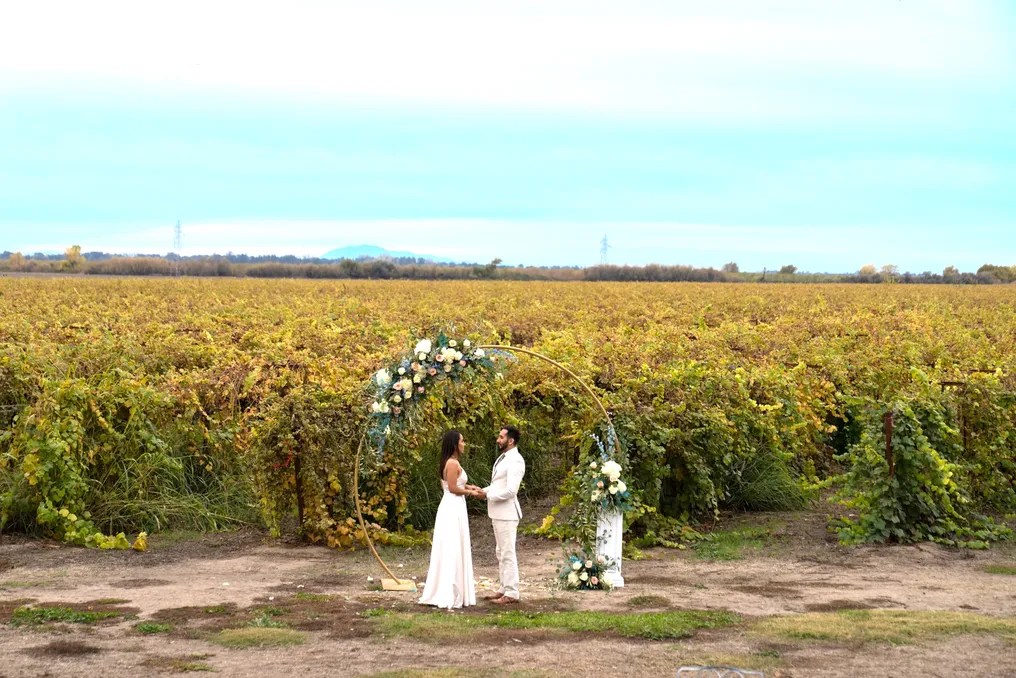 Tiffany Vineyards #1
