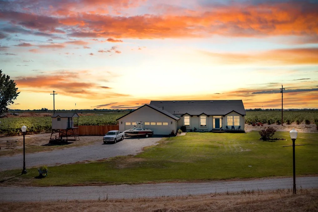Tiffany Vineyards #18