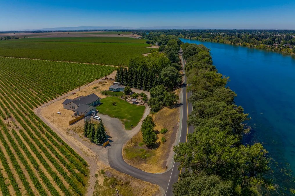 Tiffany Vineyards #30