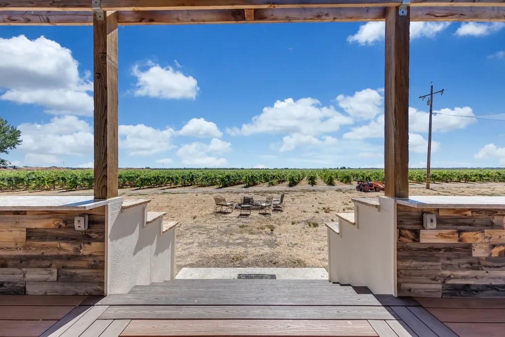 Tiffany Vineyards #32