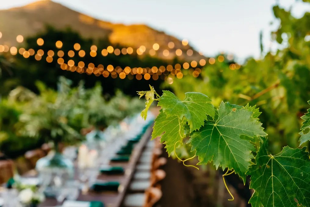 Keys Creek Winery #1
