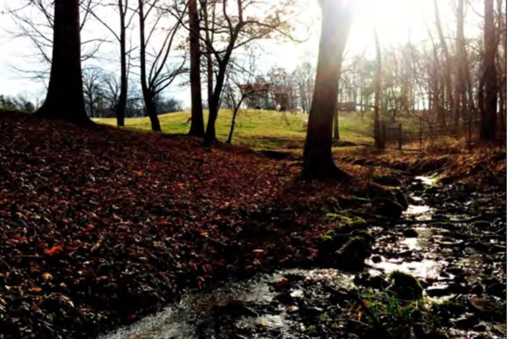 Ogletree Estates #23