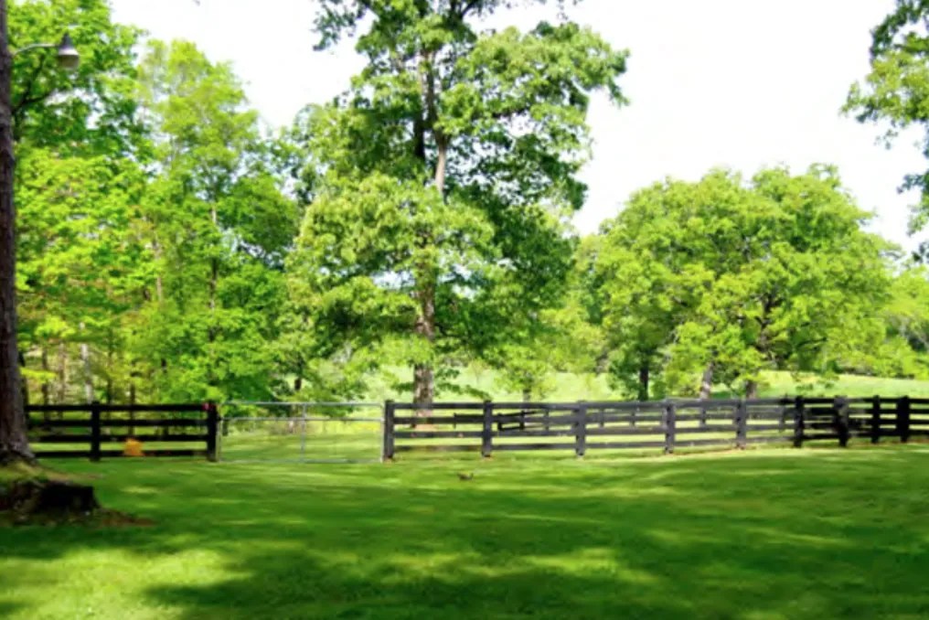 Ogletree Estates #29