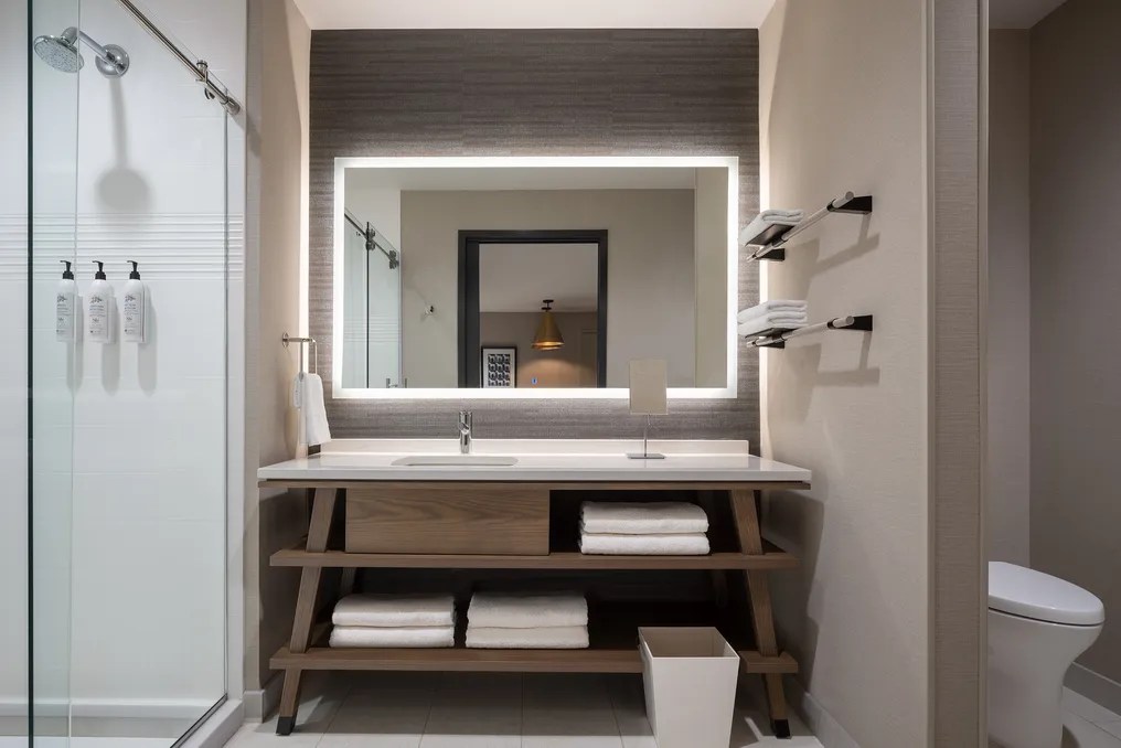 Delta Hotel by Marriott Wichita Falls Convention Center #10