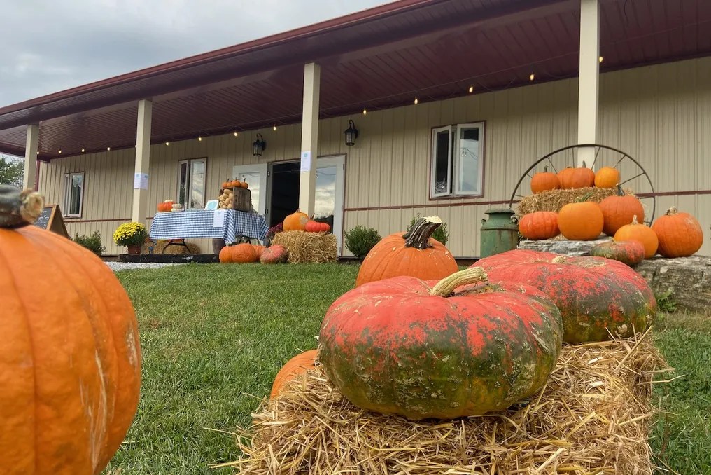 The Farm at Stillwater Spring #9