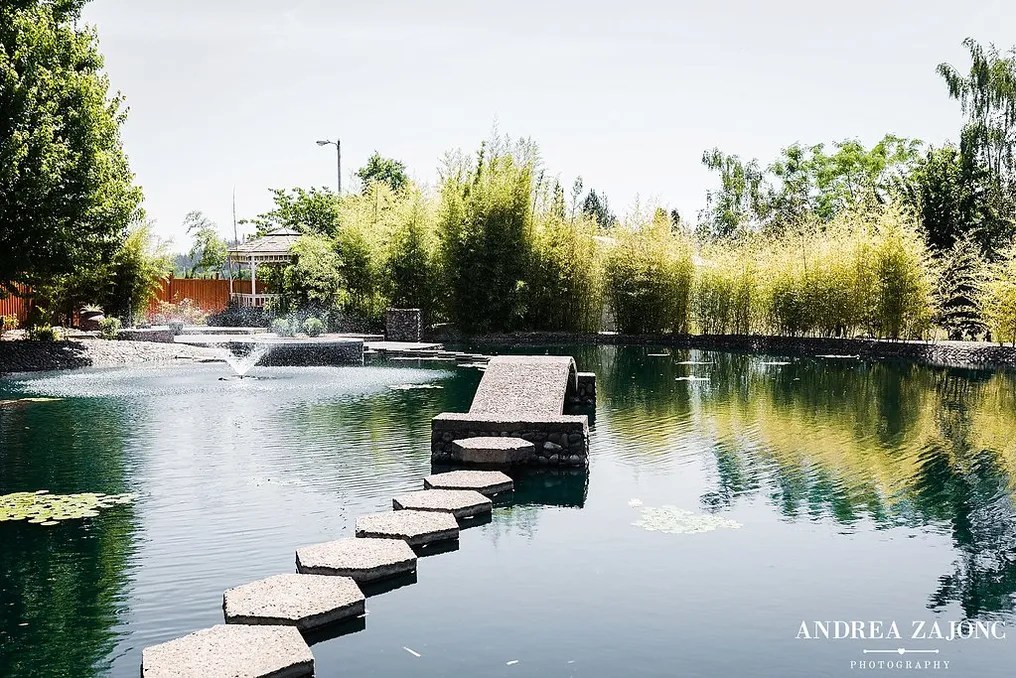 The Water Oasis #24