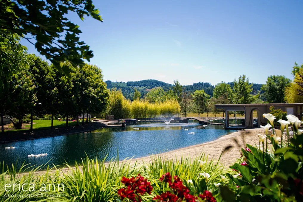 The Water Oasis #25