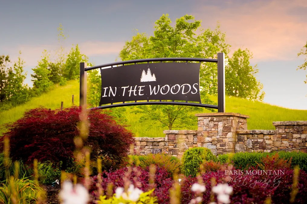 In The Woods #64