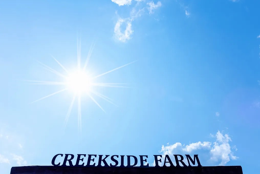 Creekside Farm #17