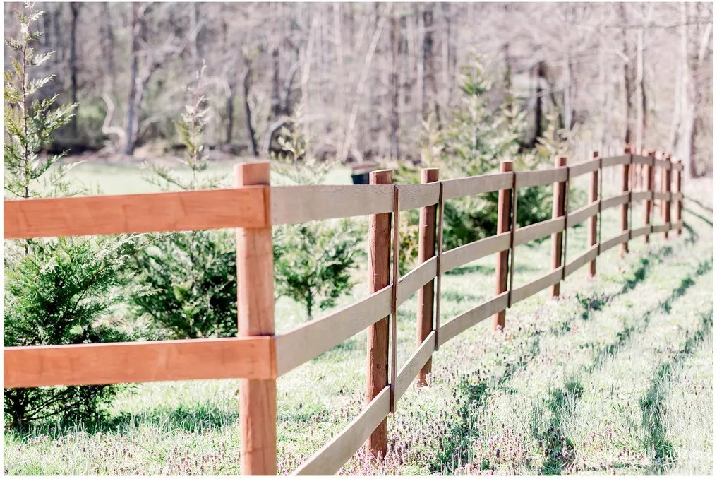 Creekside Farm #51