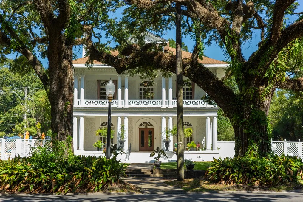 The Driskell #8