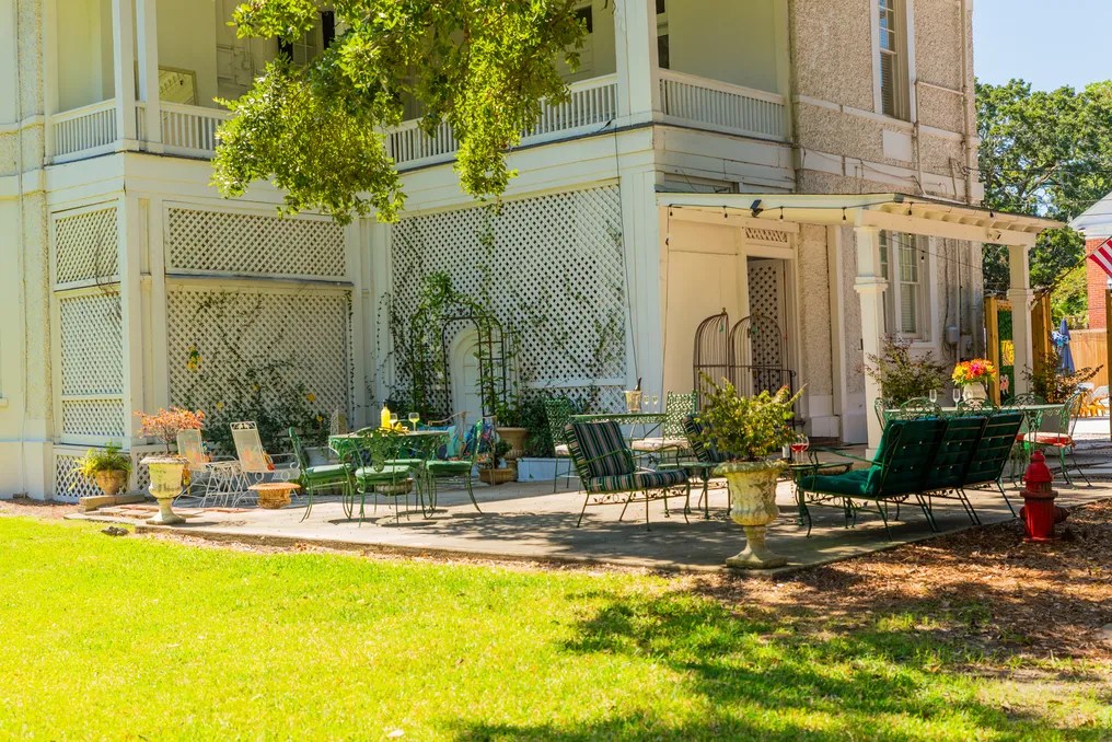 The Driskell #13