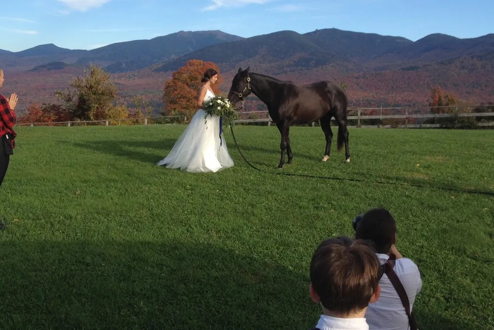 The Toad Hill Farm Venue #12