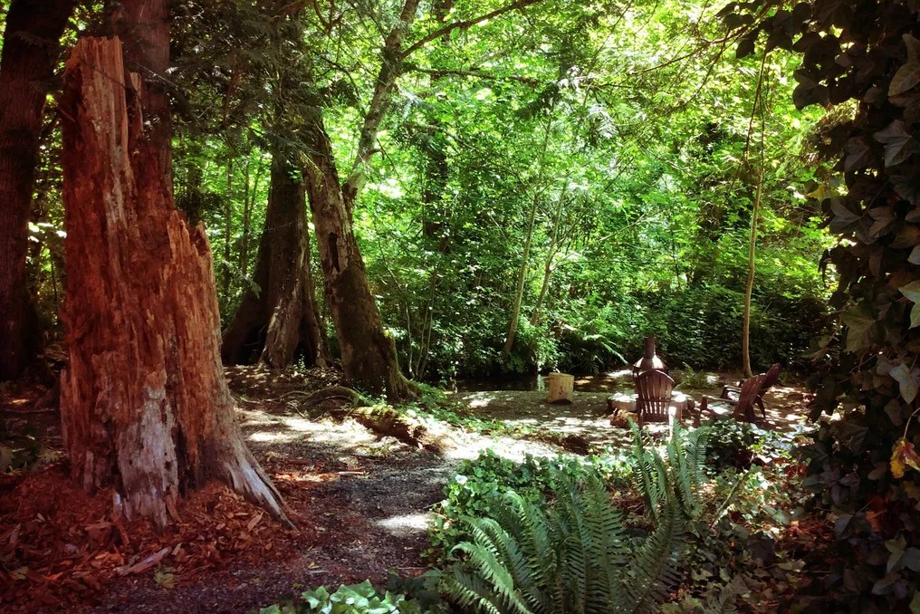 Robin Hood Village Resort #4