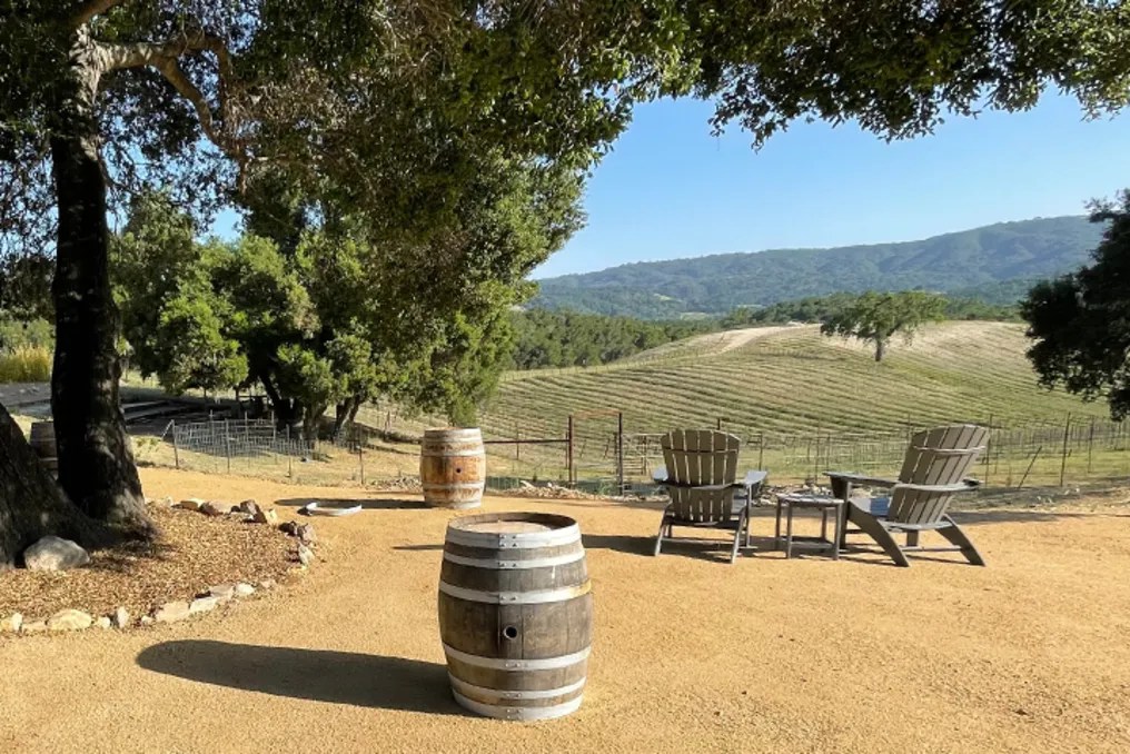 Oak & Vine Vineyard Estate #7