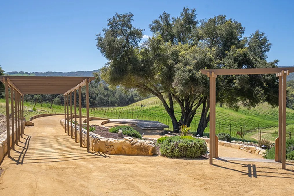 Oak & Vine Vineyard Estate #22