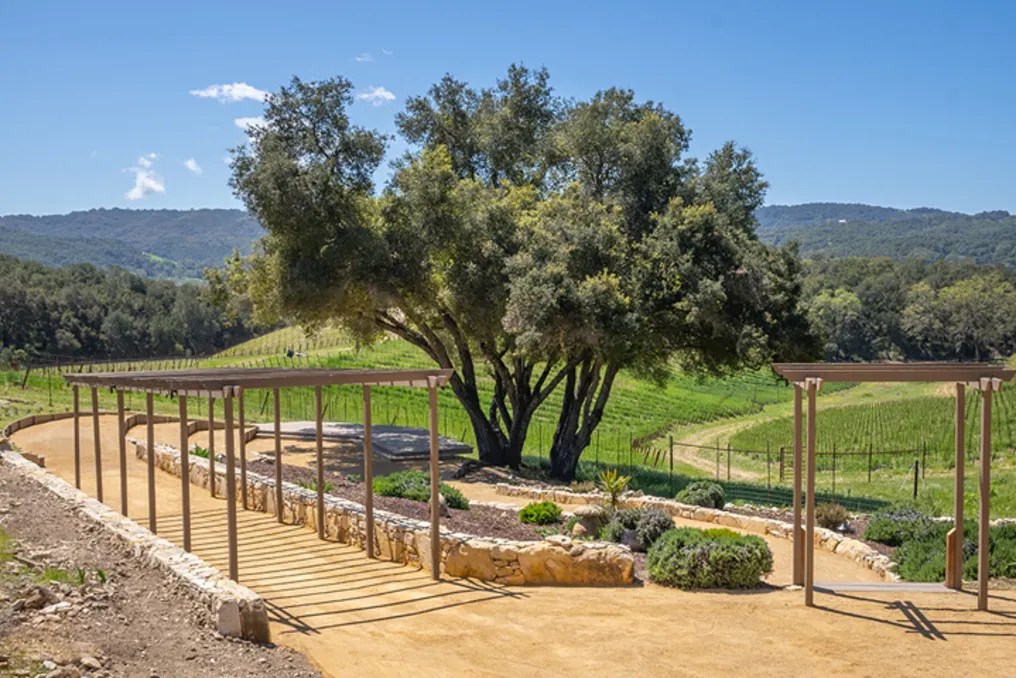 Oak & Vine Vineyard Estate #24